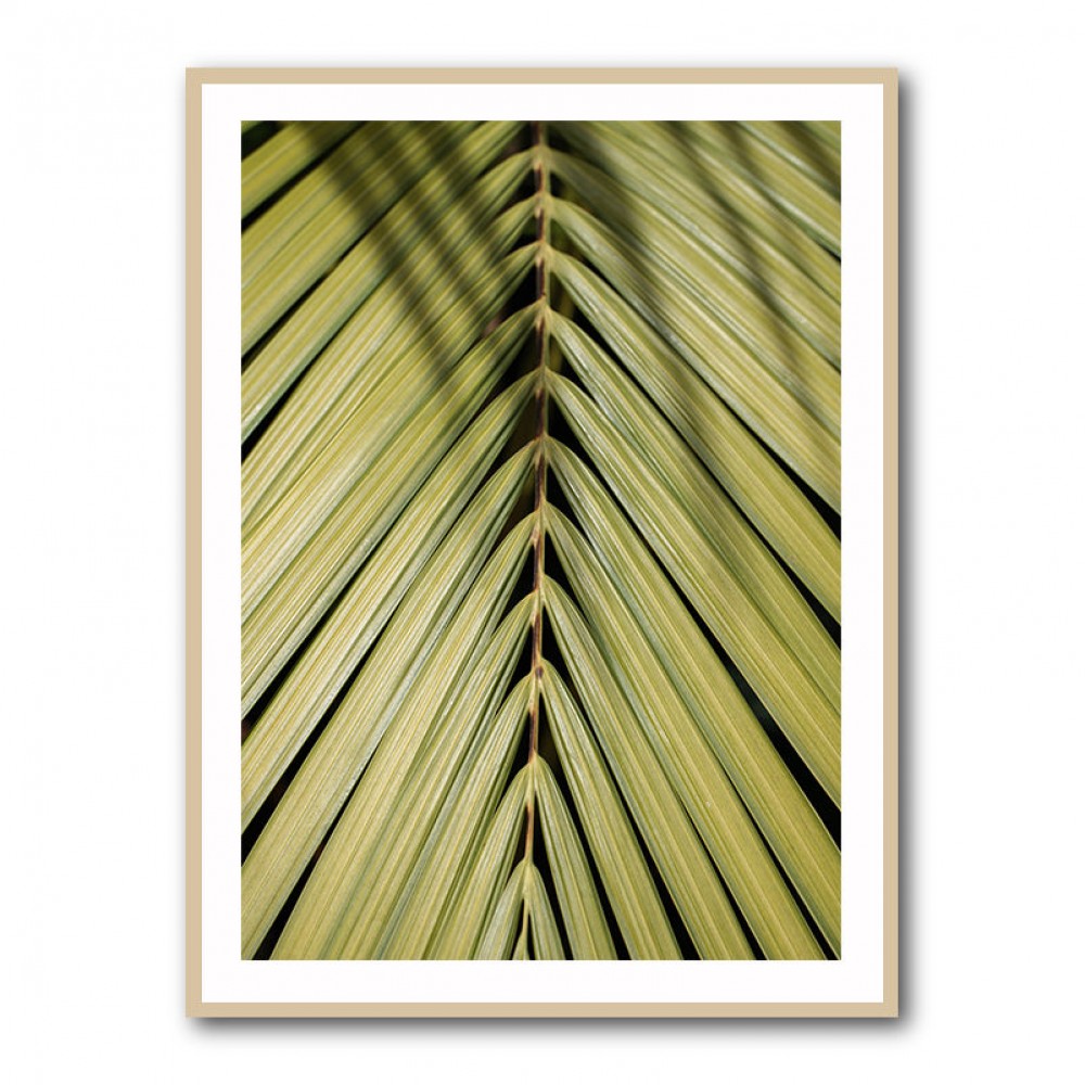 Tropical Leaf