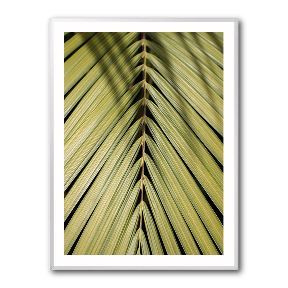 Tropical Leaf