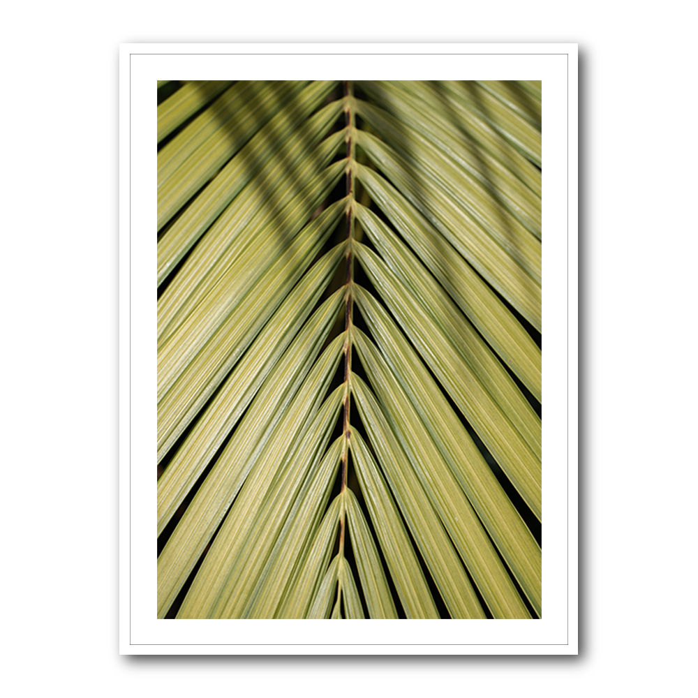 Tropical Leaf