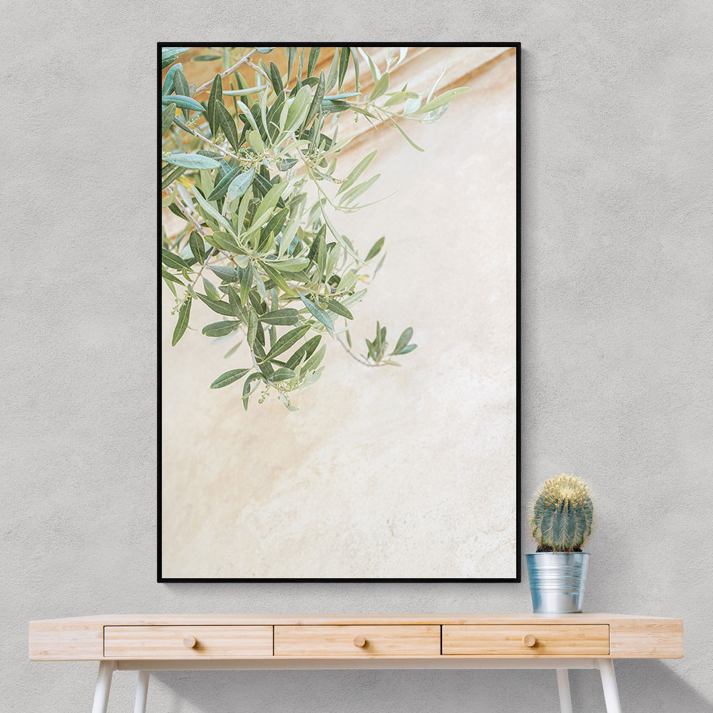 Olive Tree Leaves
