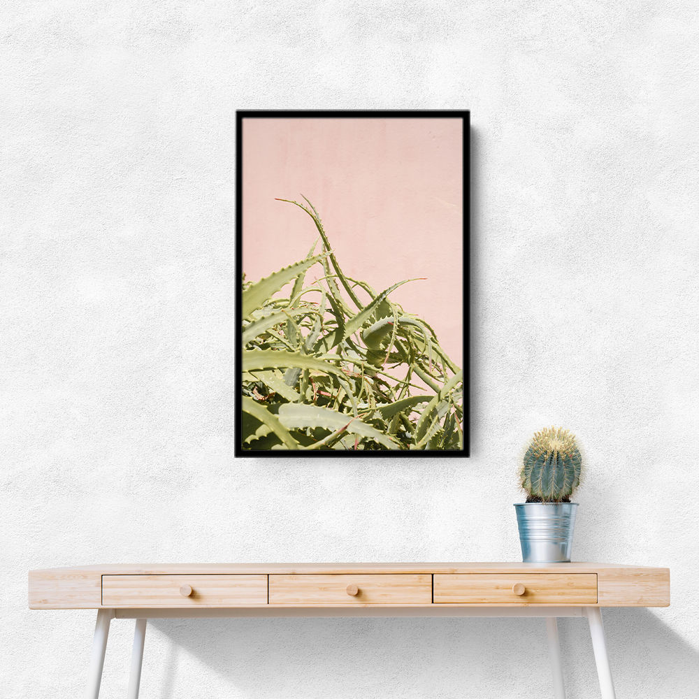Cacti on Pink