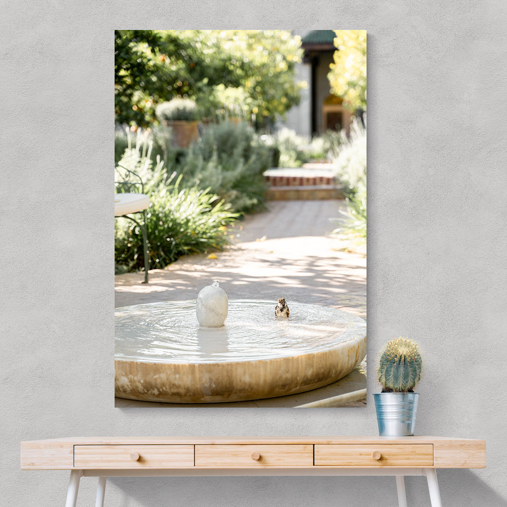 Feathers and Droplets