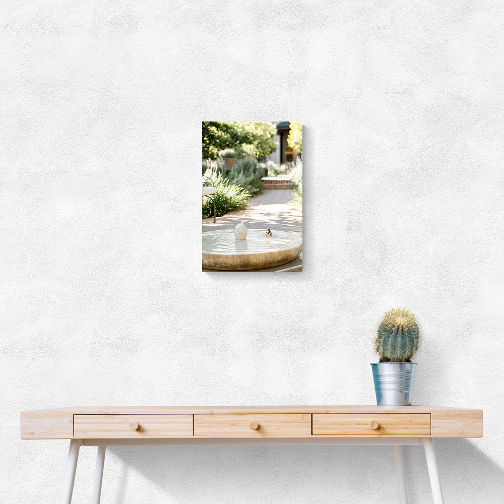 Feathers and Droplets