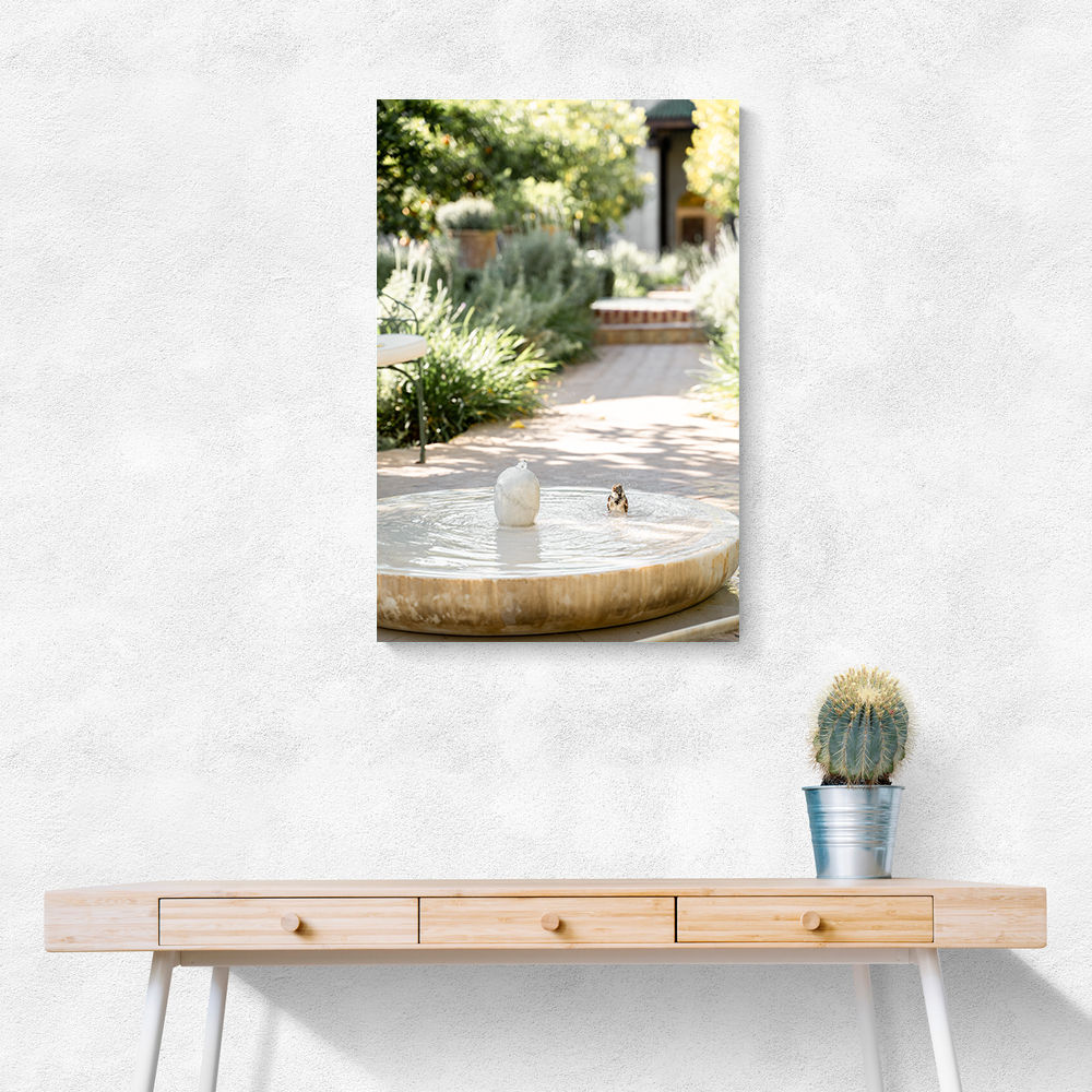 Feathers and Droplets