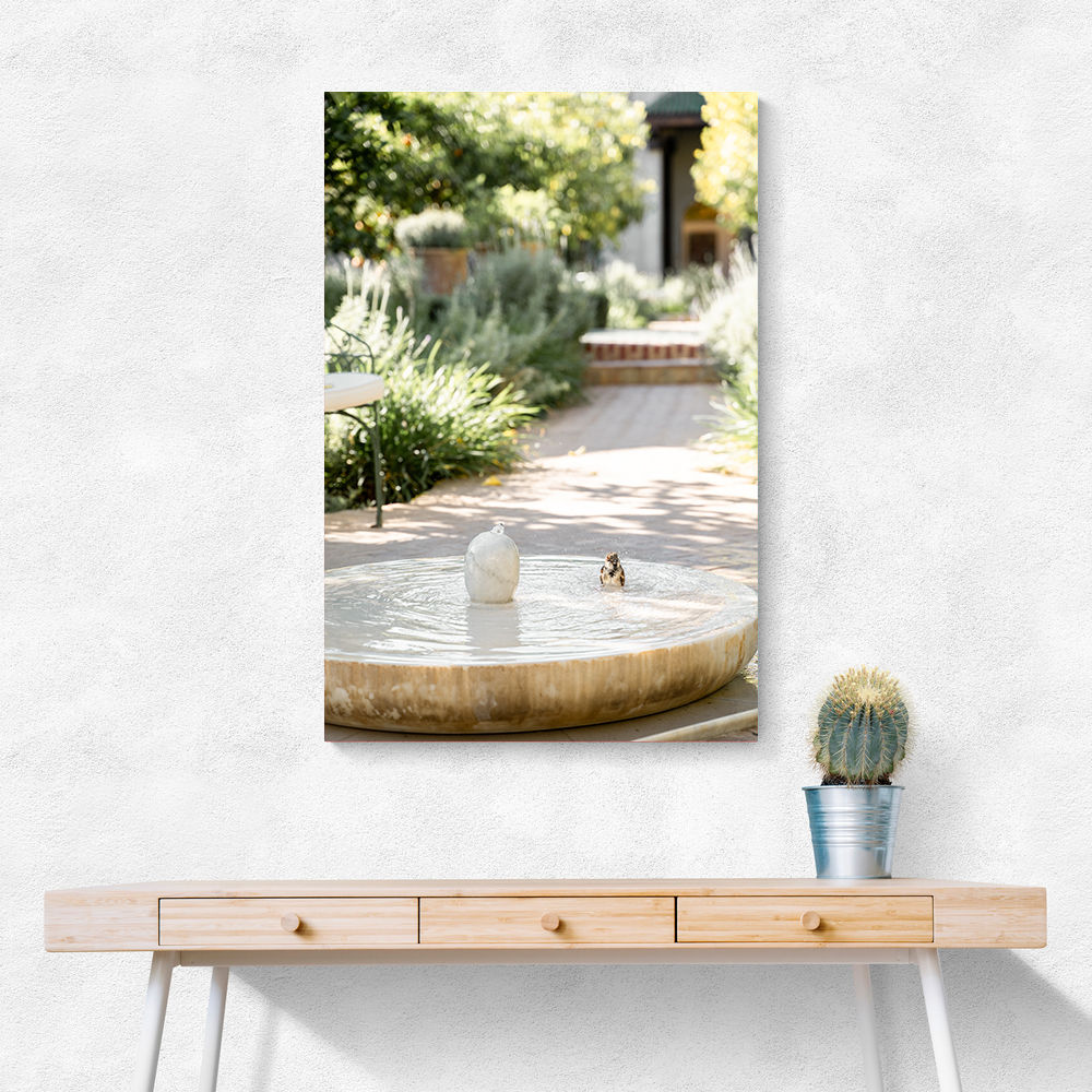 Feathers and Droplets