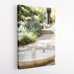 Feathers and Droplets