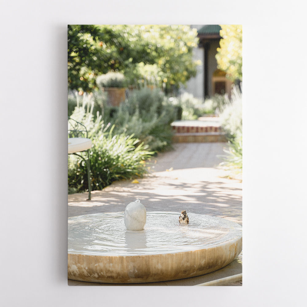 Feathers and Droplets