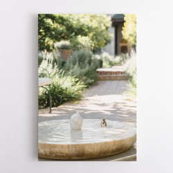 Feathers and Droplets