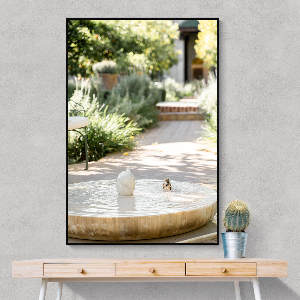 Feathers and Droplets