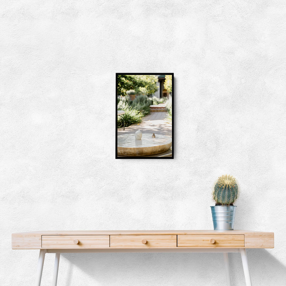 Feathers and Droplets