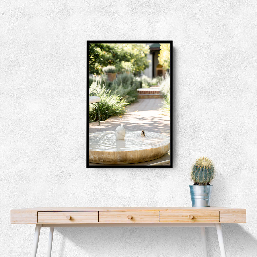 Feathers and Droplets