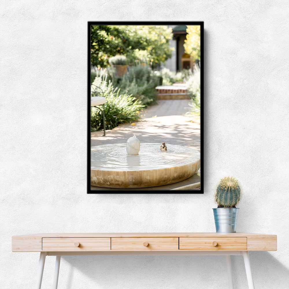 Feathers and Droplets