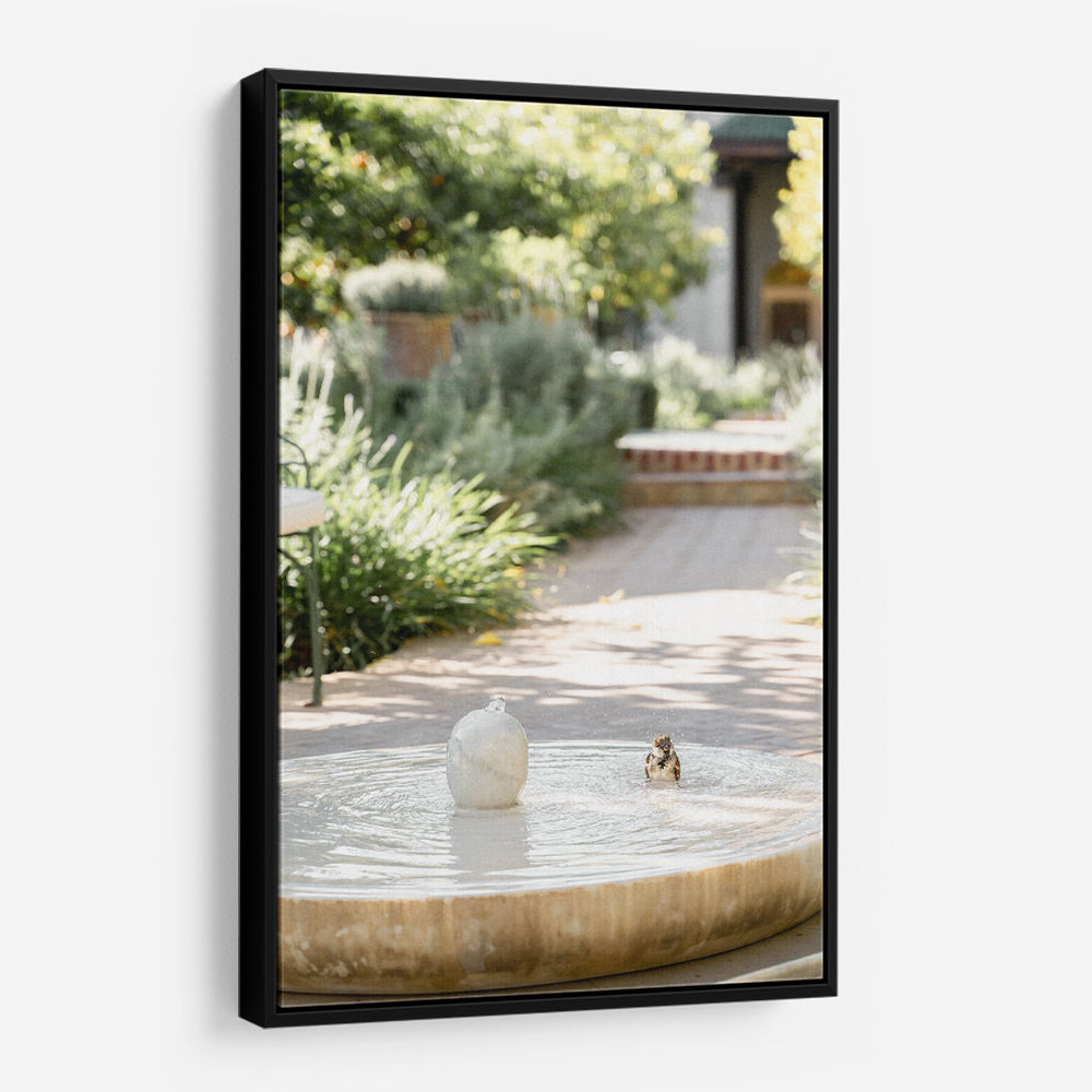 Feathers and Droplets