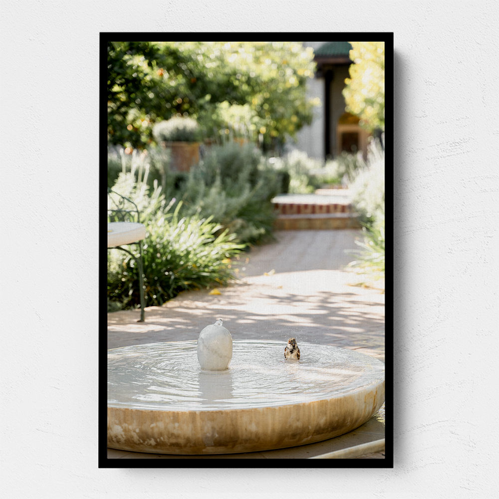 Feathers and Droplets