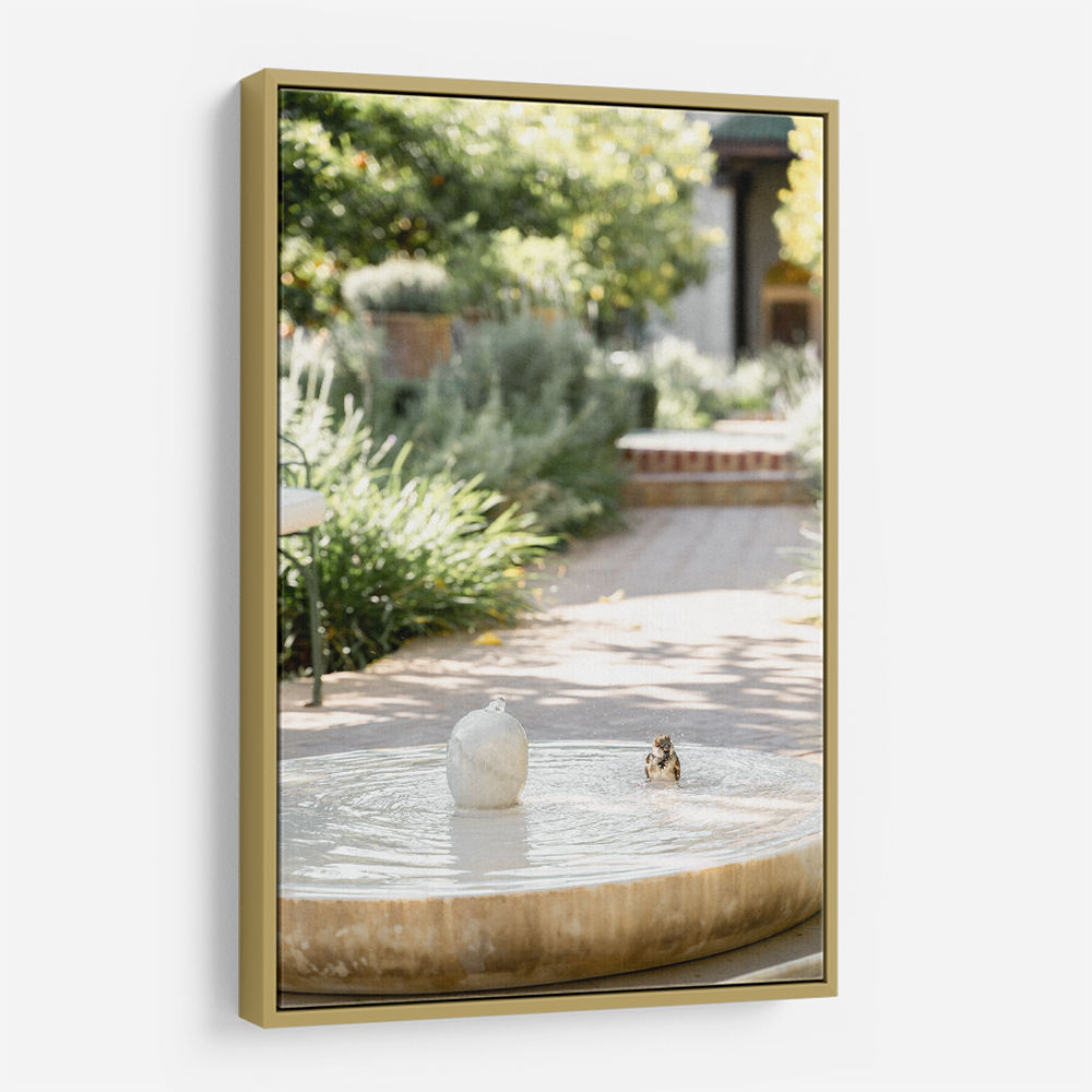 Feathers and Droplets