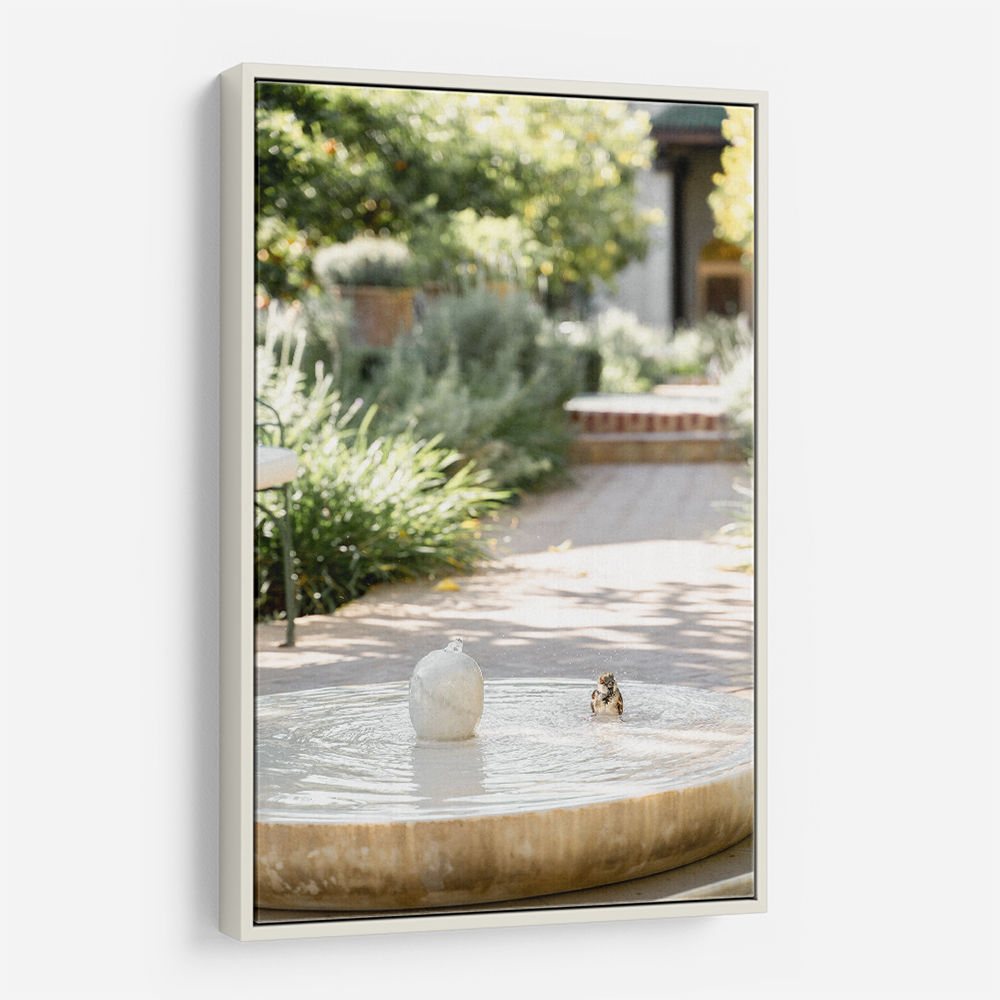 Feathers and Droplets