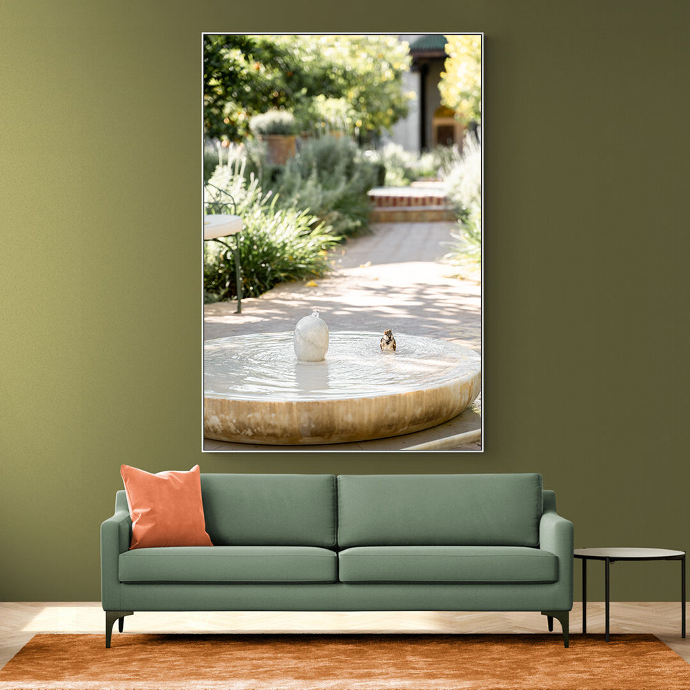 Feathers and Droplets