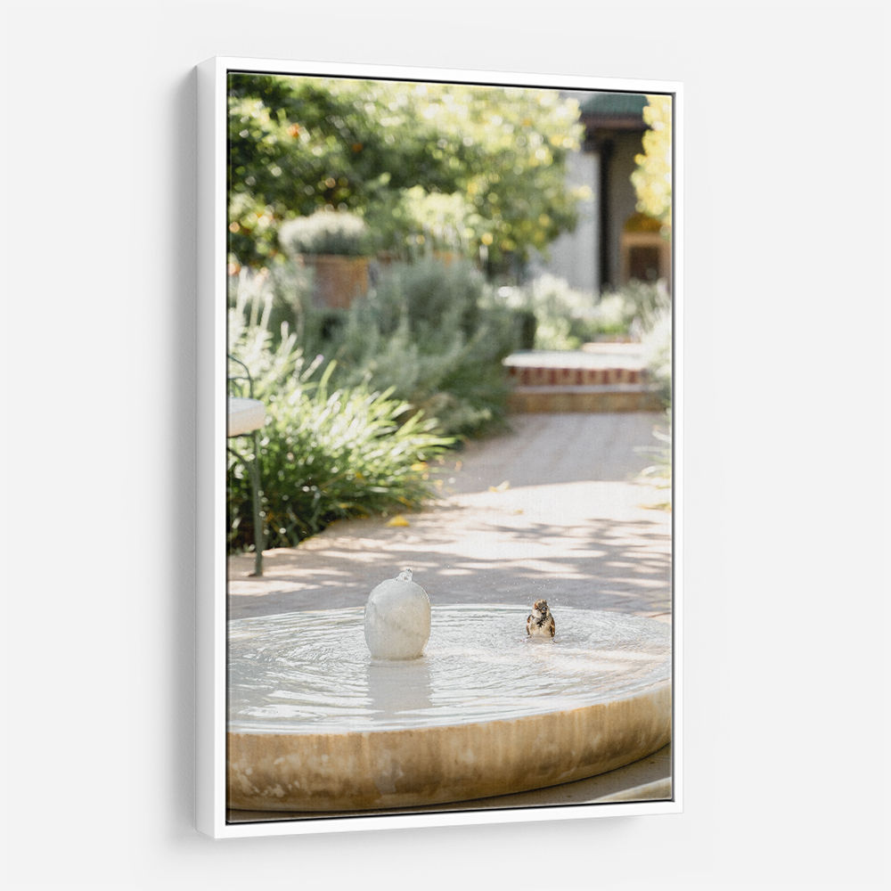 Feathers and Droplets