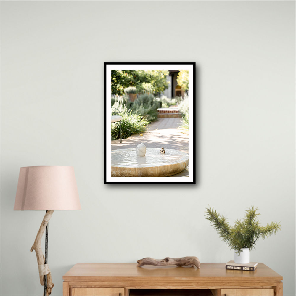 Feathers and Droplets