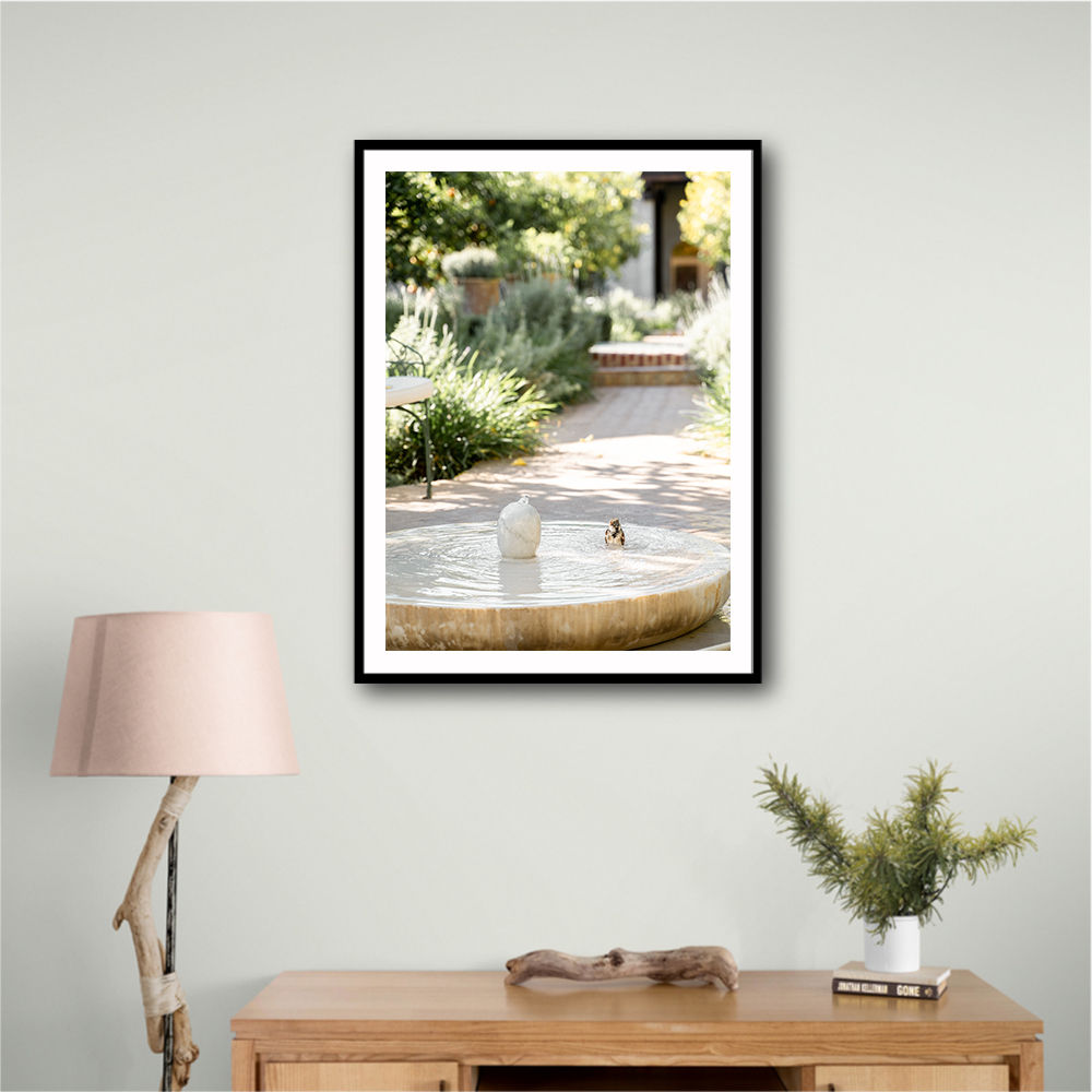 Feathers and Droplets