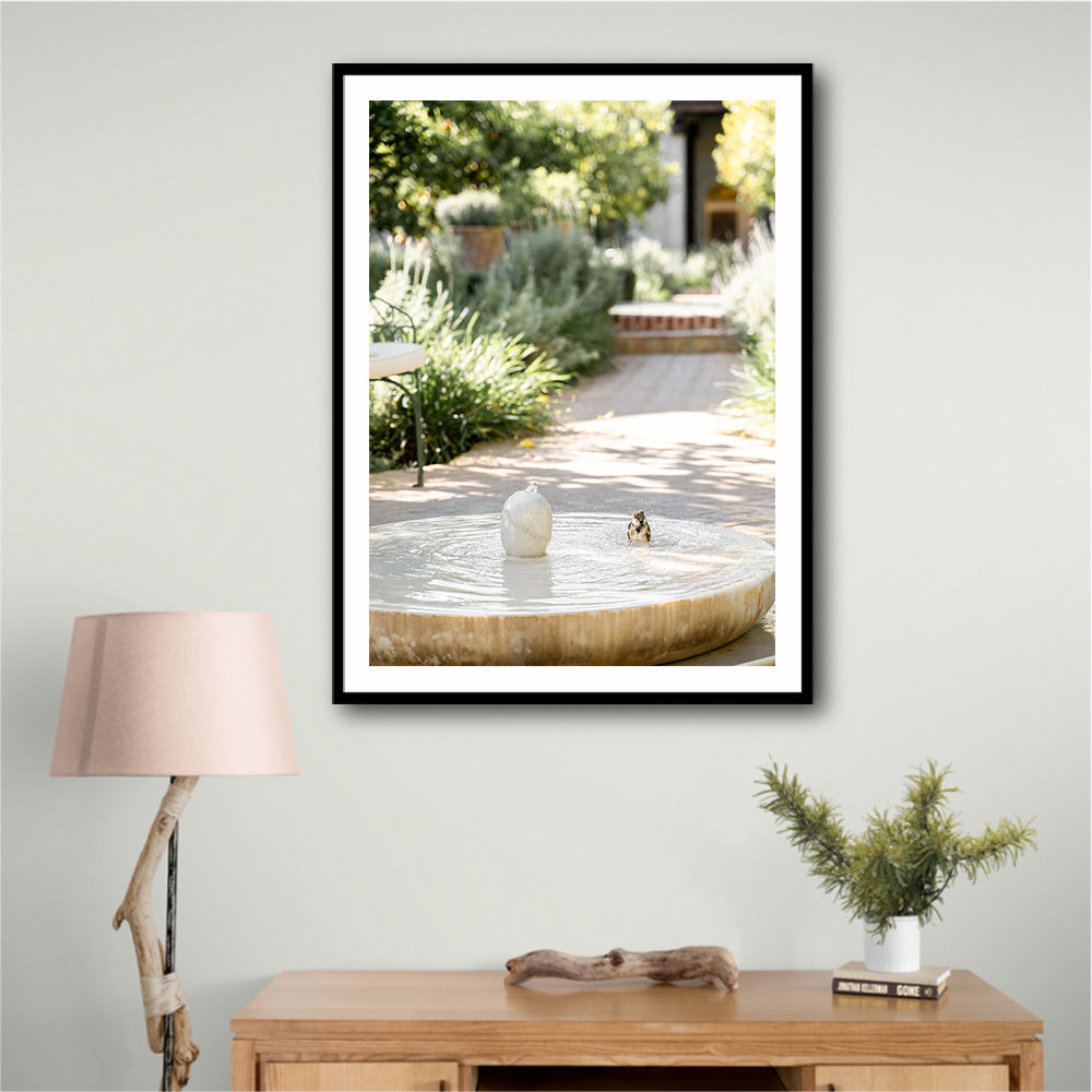 Feathers and Droplets