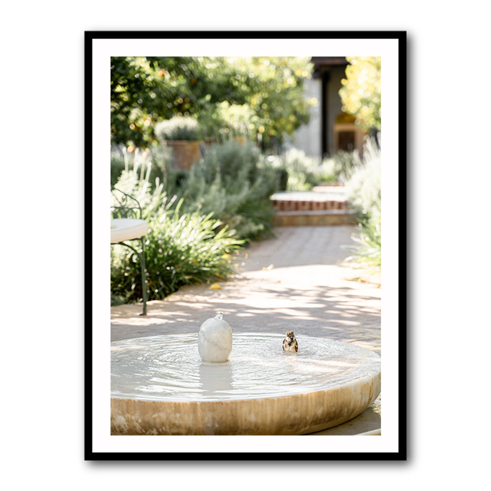 Feathers and Droplets