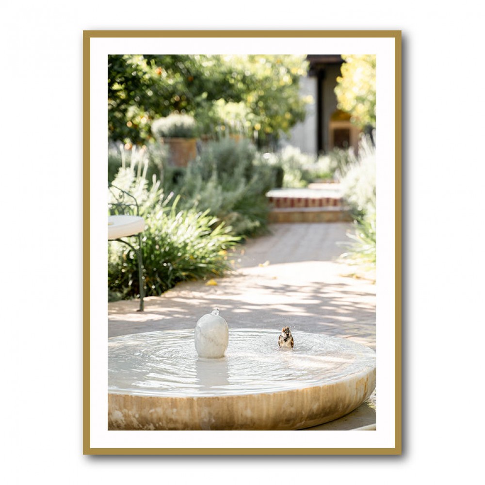 Feathers and Droplets