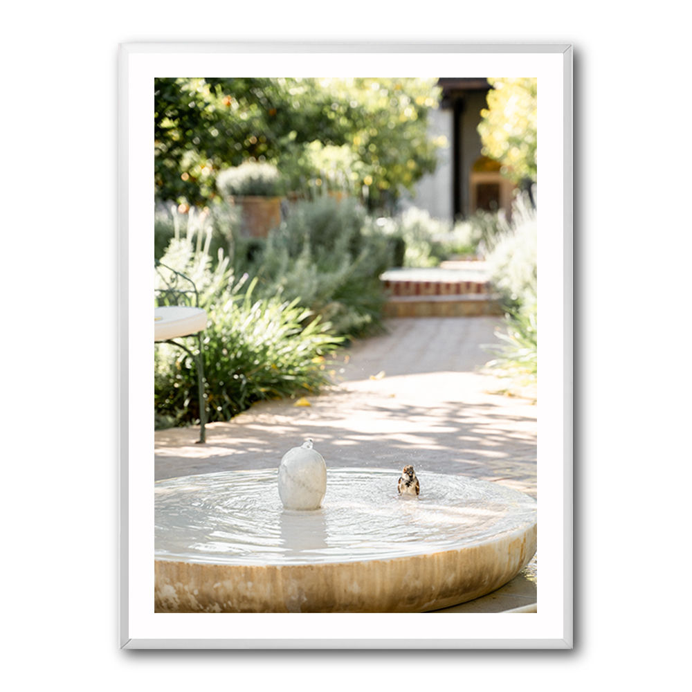 Feathers and Droplets