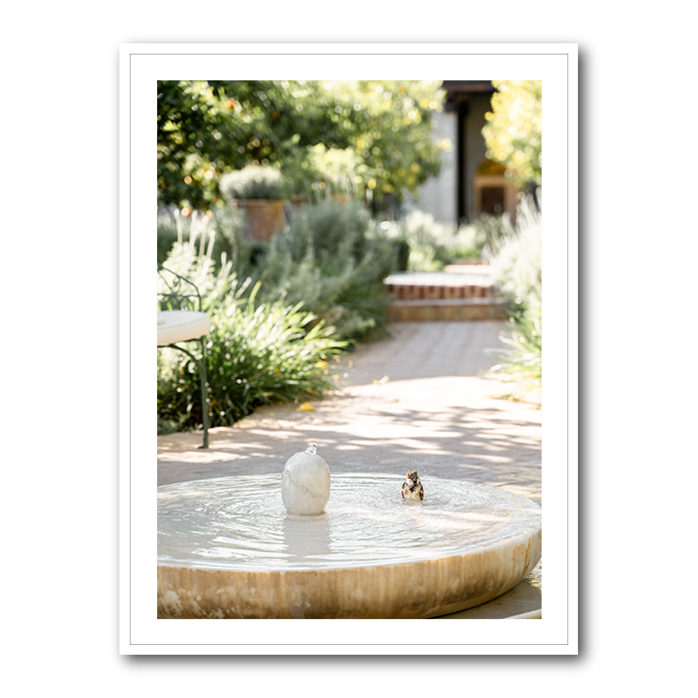 Feathers and Droplets