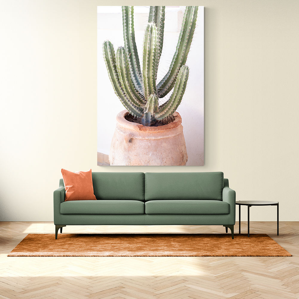 Cactus Serenity