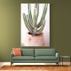 Cactus Serenity