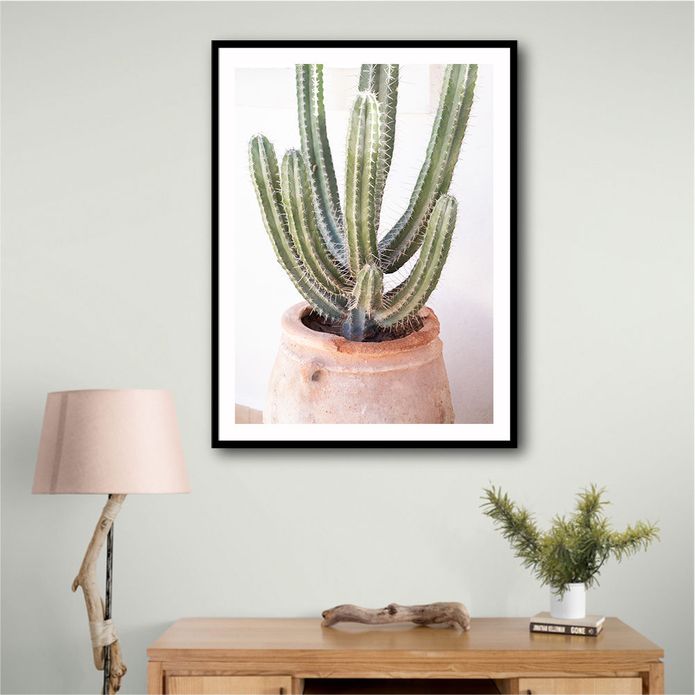 Cactus Serenity