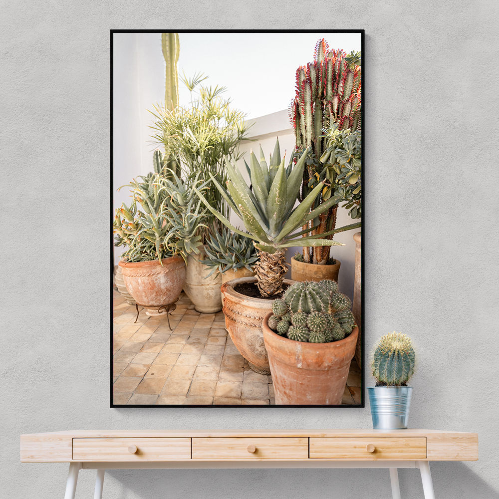 Garden with Various Potted Succulents and Cacti