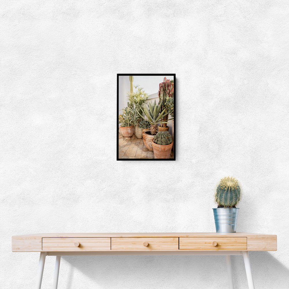 Garden with Various Potted Succulents and Cacti