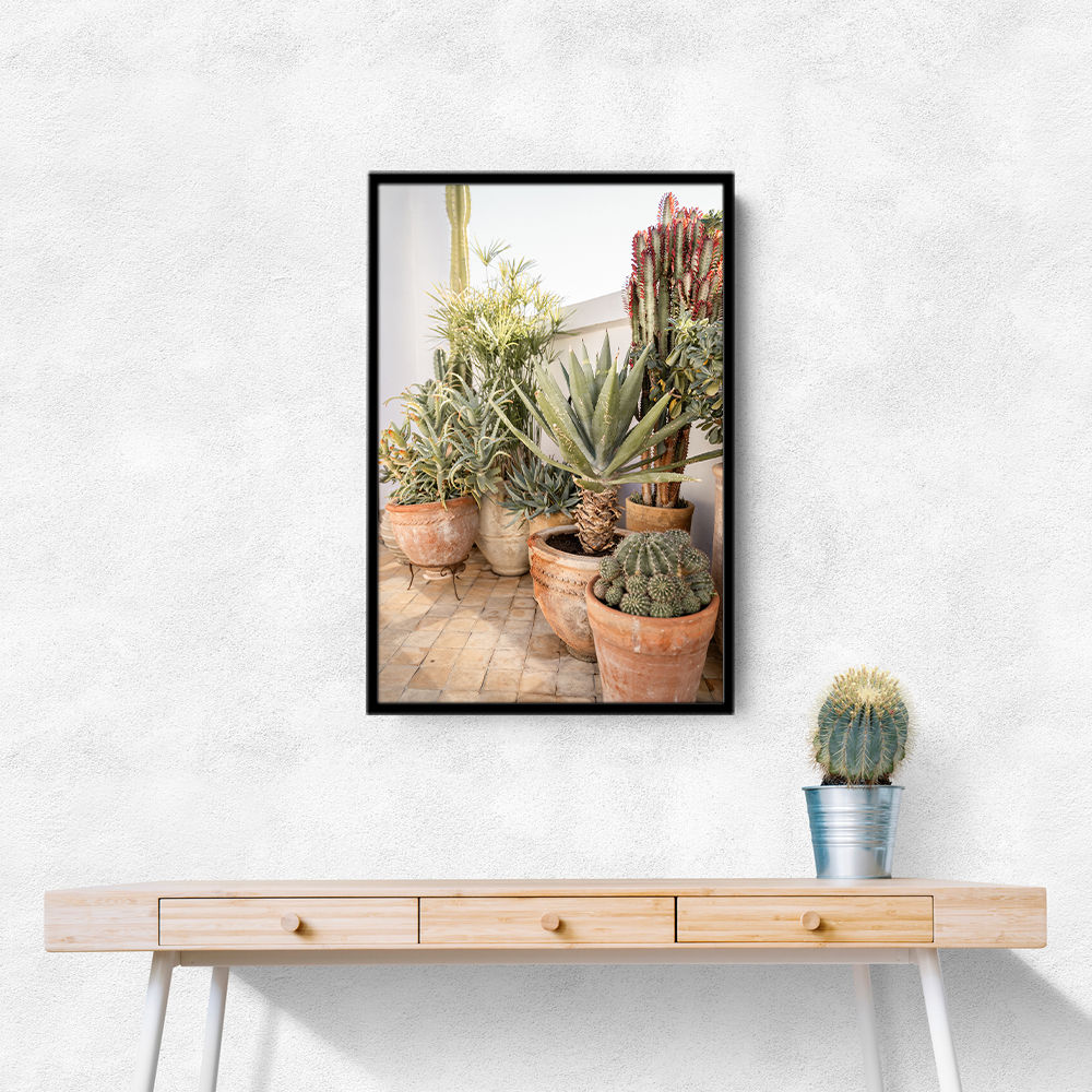 Garden with Various Potted Succulents and Cacti