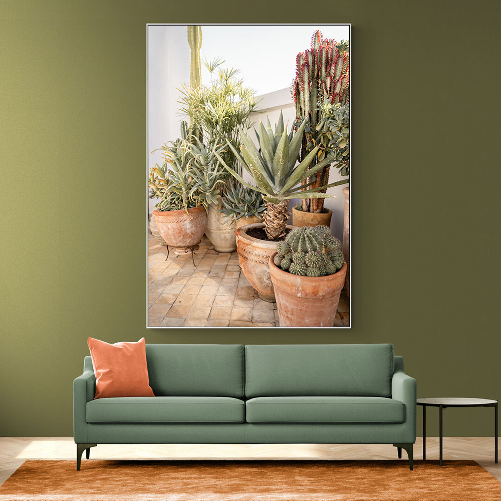 Garden with Various Potted Succulents and Cacti