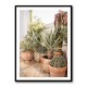 Garden with Various Potted Succulents and Cacti