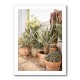 Garden with Various Potted Succulents and Cacti