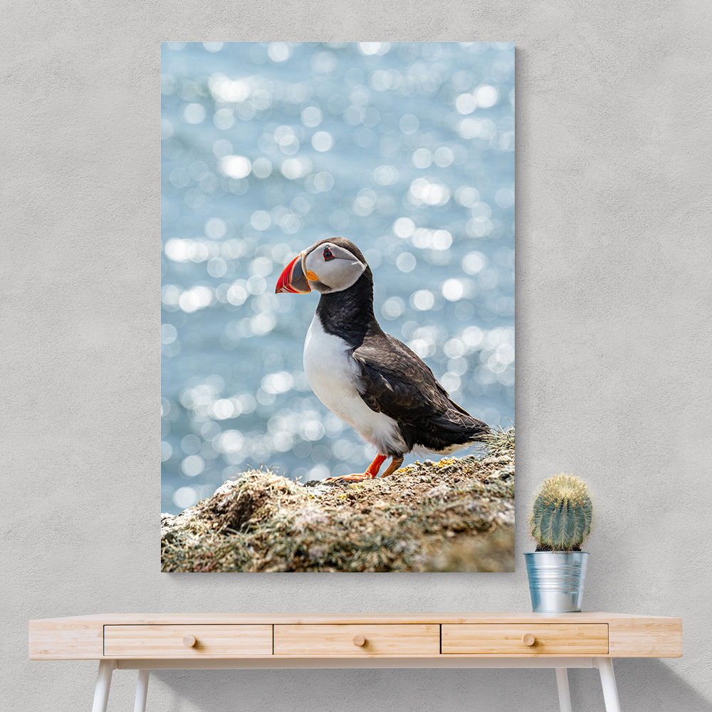Puffin by the Sea