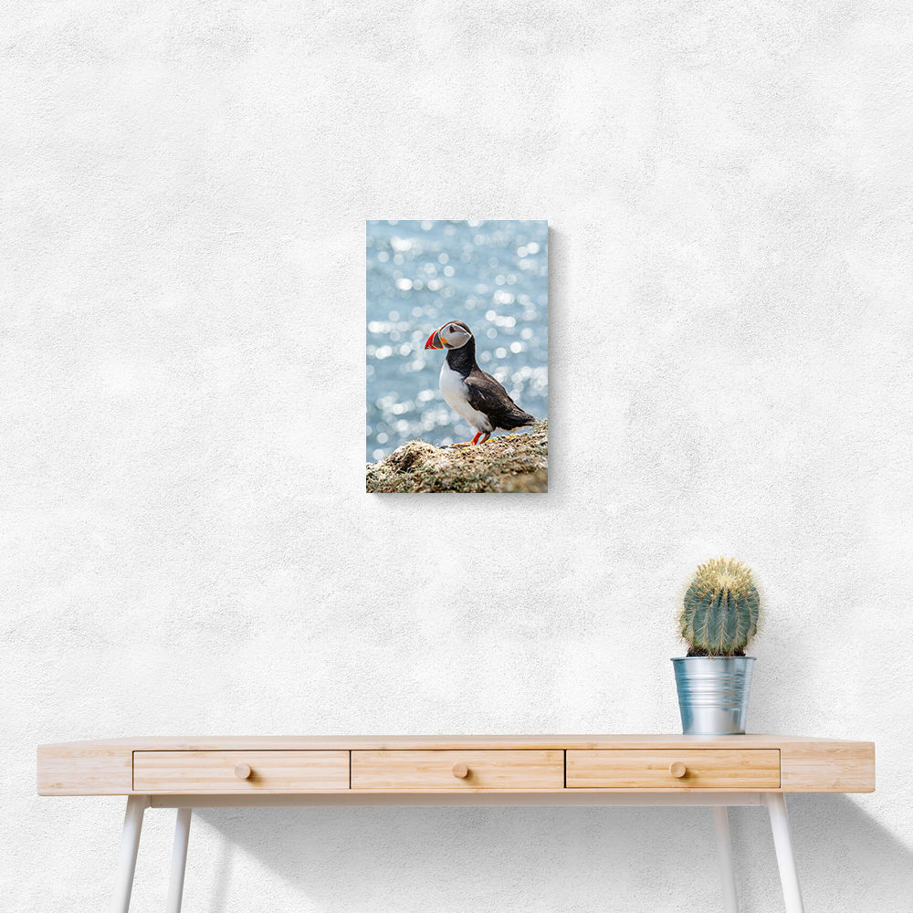 Puffin by the Sea