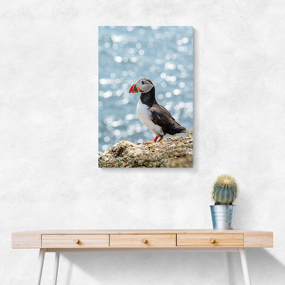 Puffin by the Sea