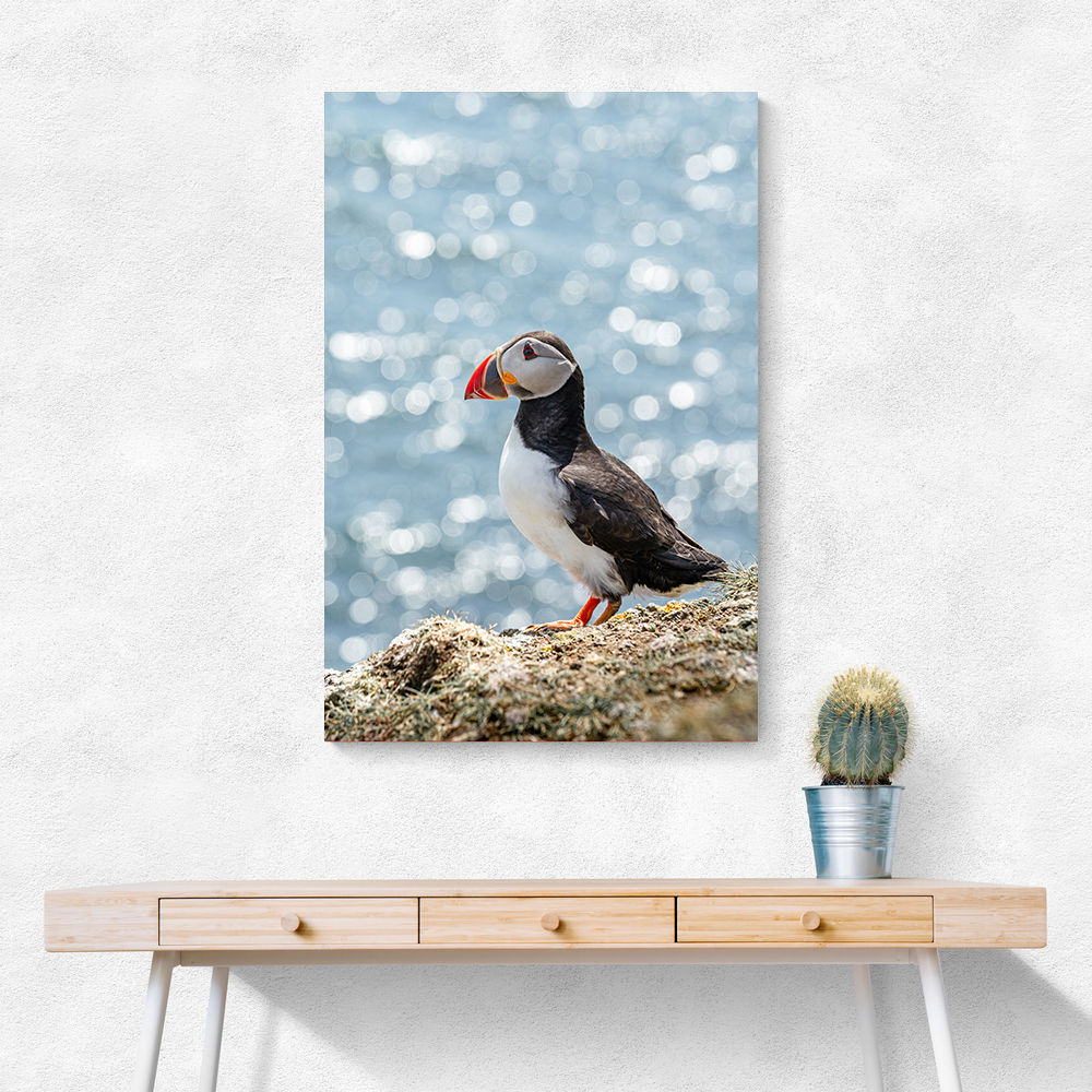 Puffin by the Sea