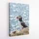Puffin by the Sea