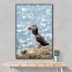 Puffin by the Sea