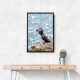 Puffin by the Sea