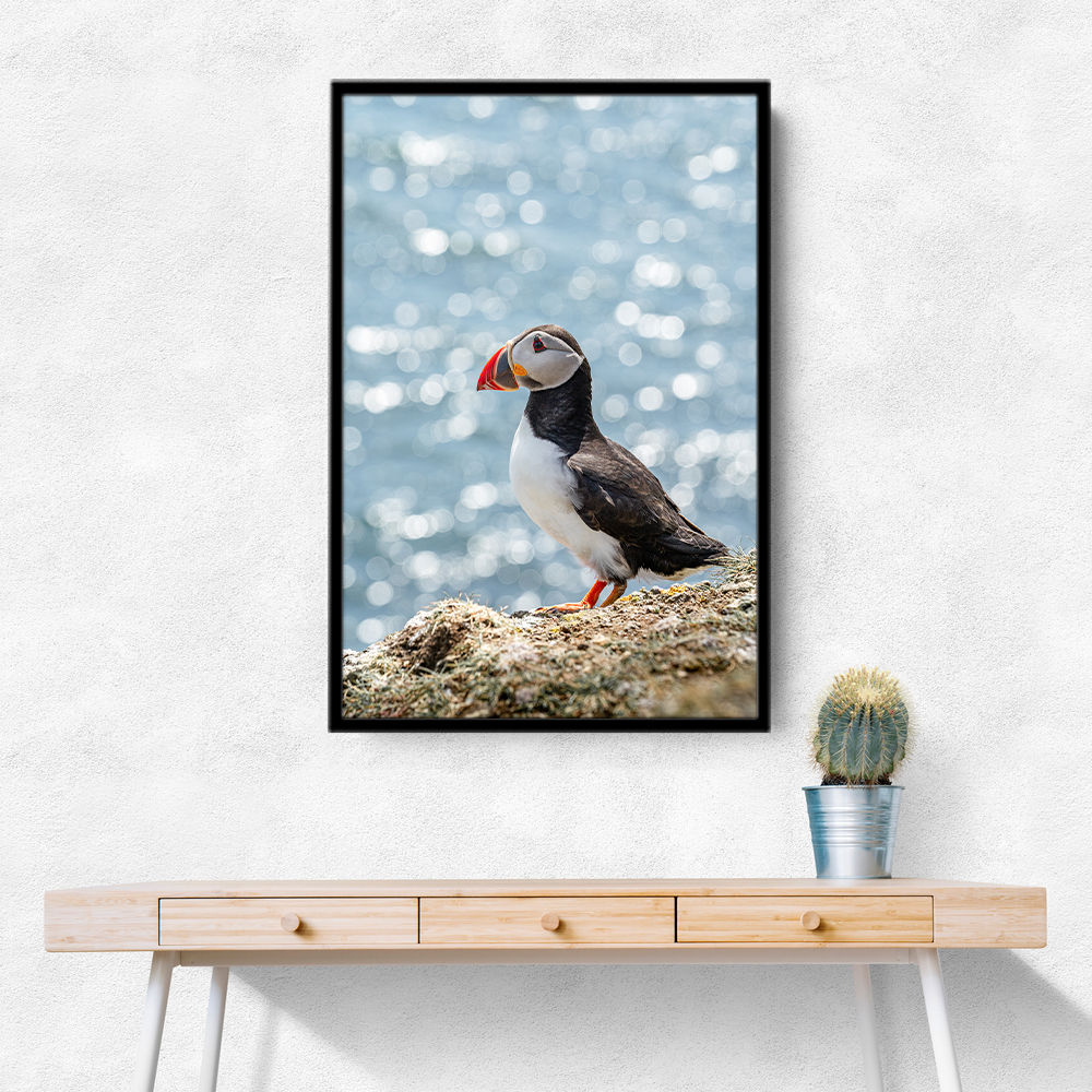 Puffin by the Sea