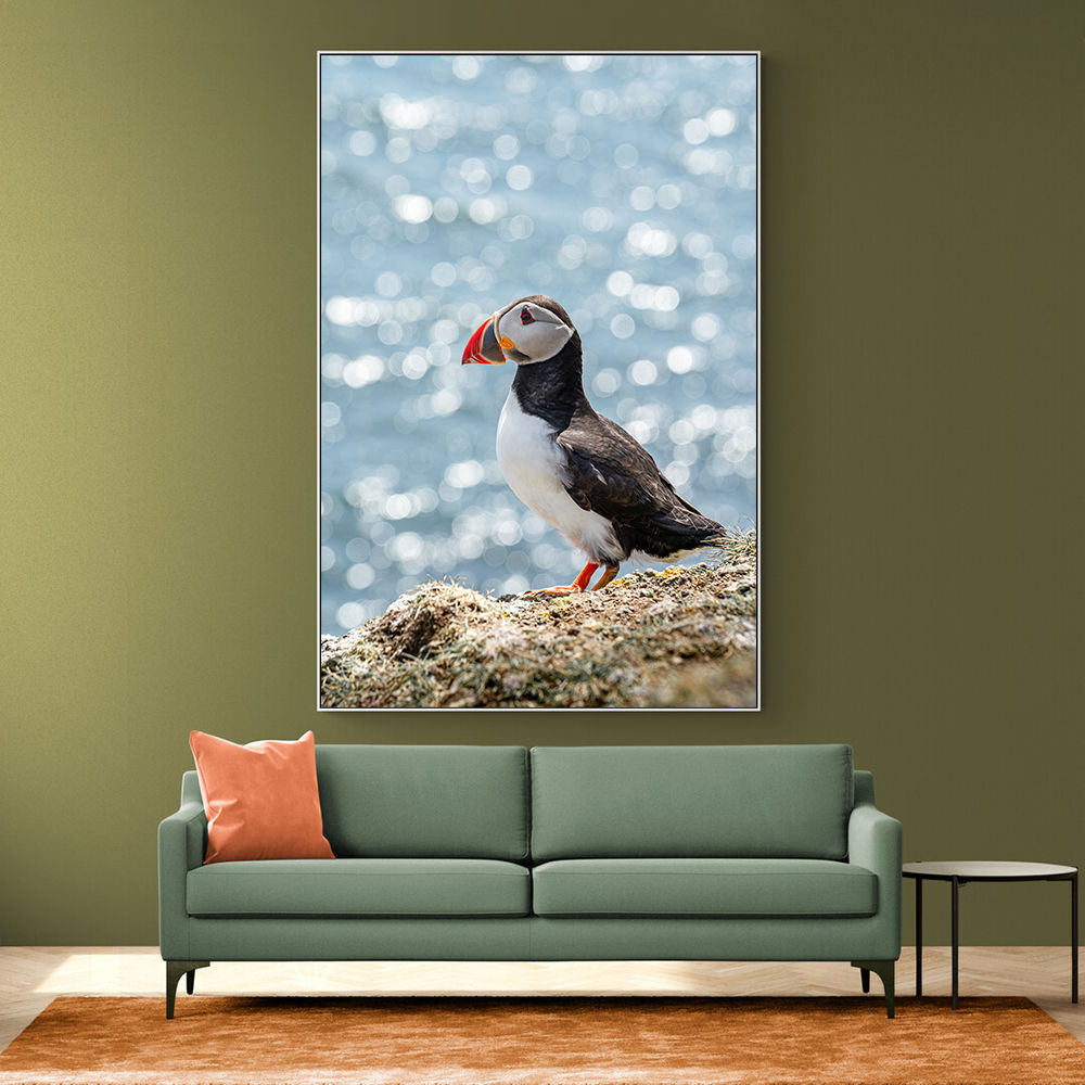 Puffin by the Sea