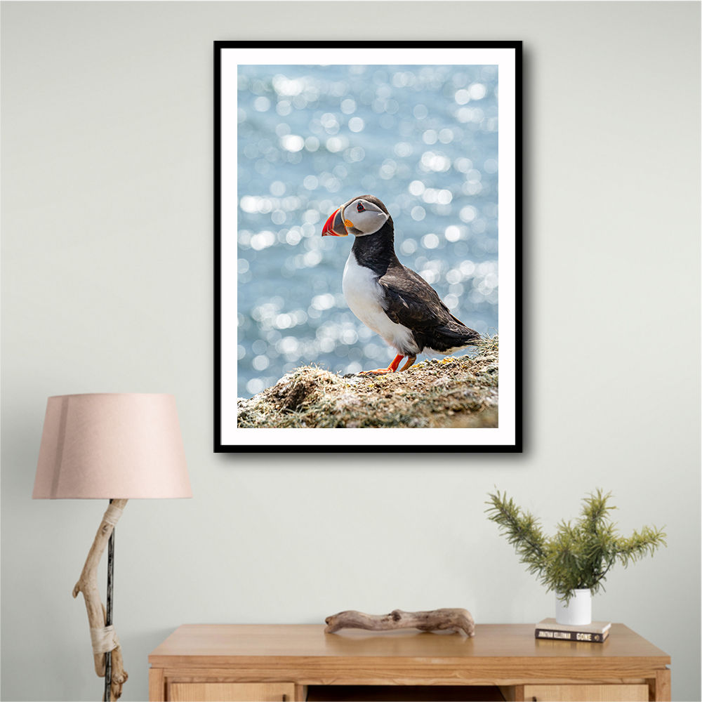 Puffin by the Sea