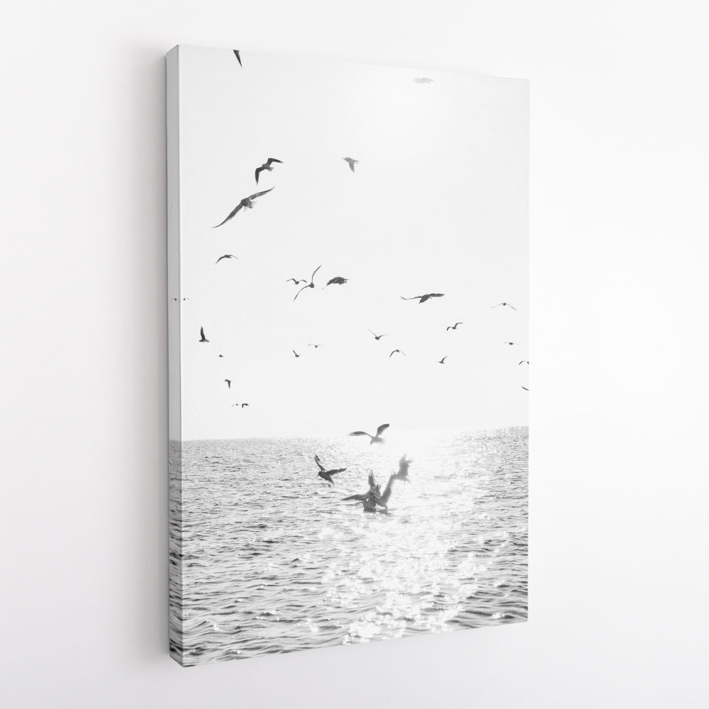 Seagulls At Sea