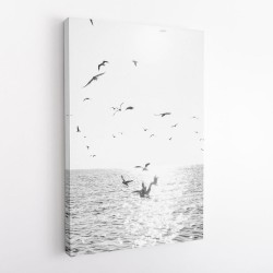 Seagulls At Sea